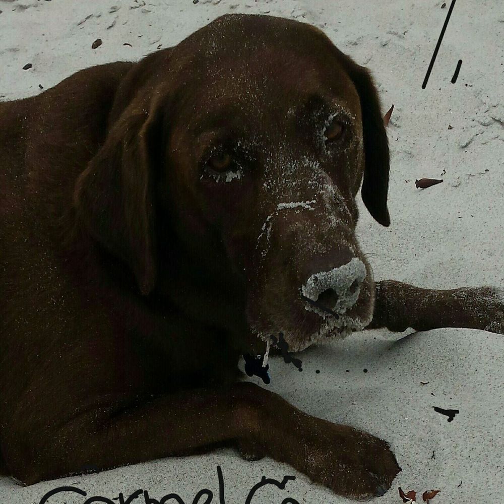 Meet your Posher, Elizabeth